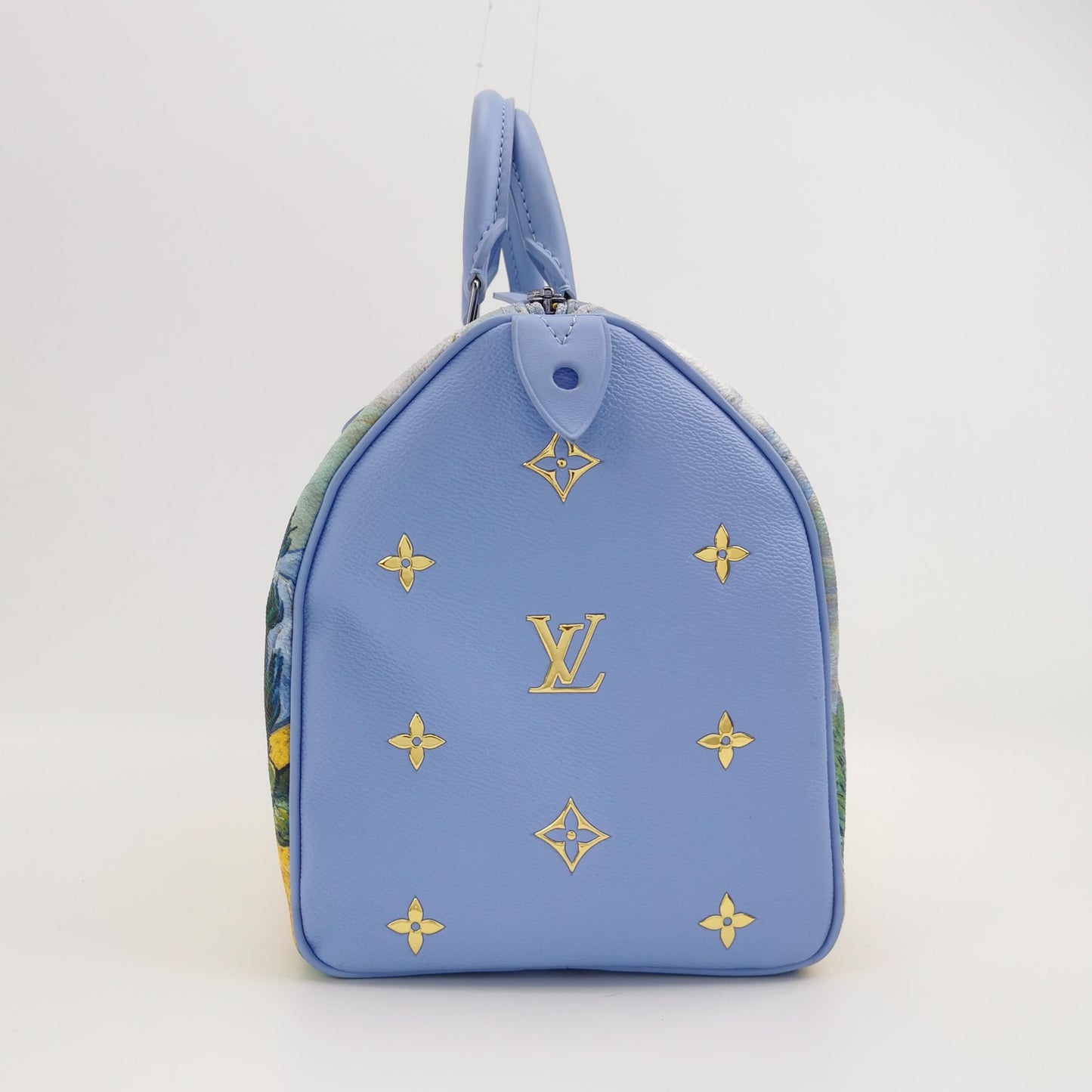 Louis Vuitton x Jeff Koons Speedy 30 Van Handbag Bag 1