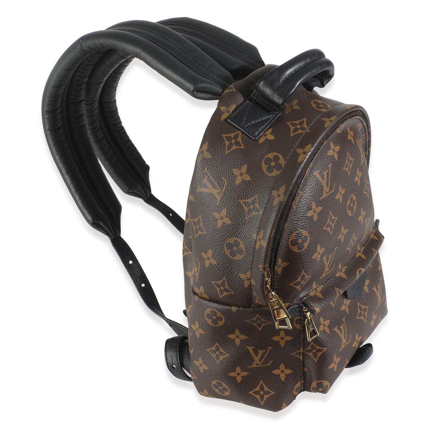 Louis Vuitton Palm Springs PM Monogram Canvas Jewelry Springs Pm