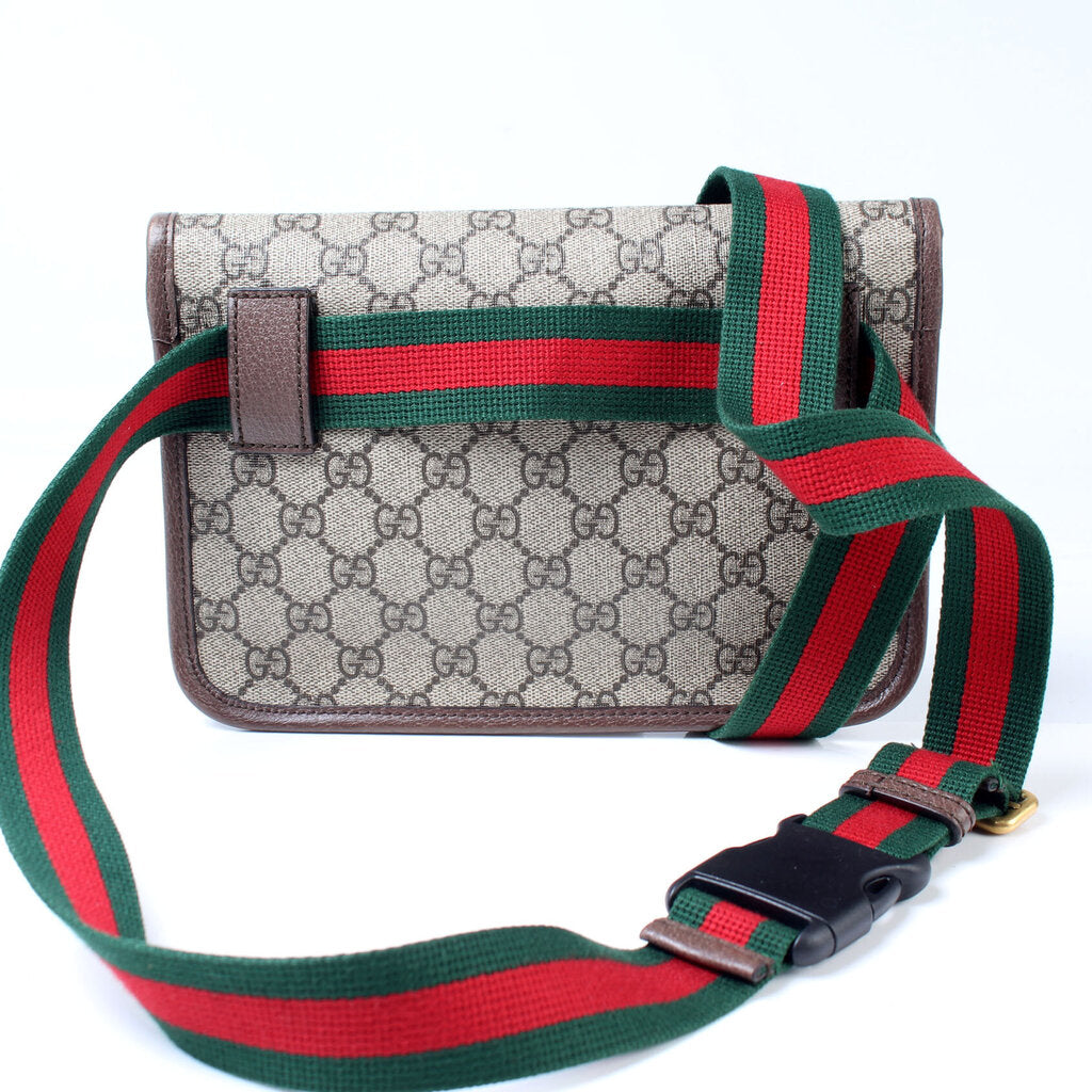 Gucci GG Supreme Neo Web Belt 17