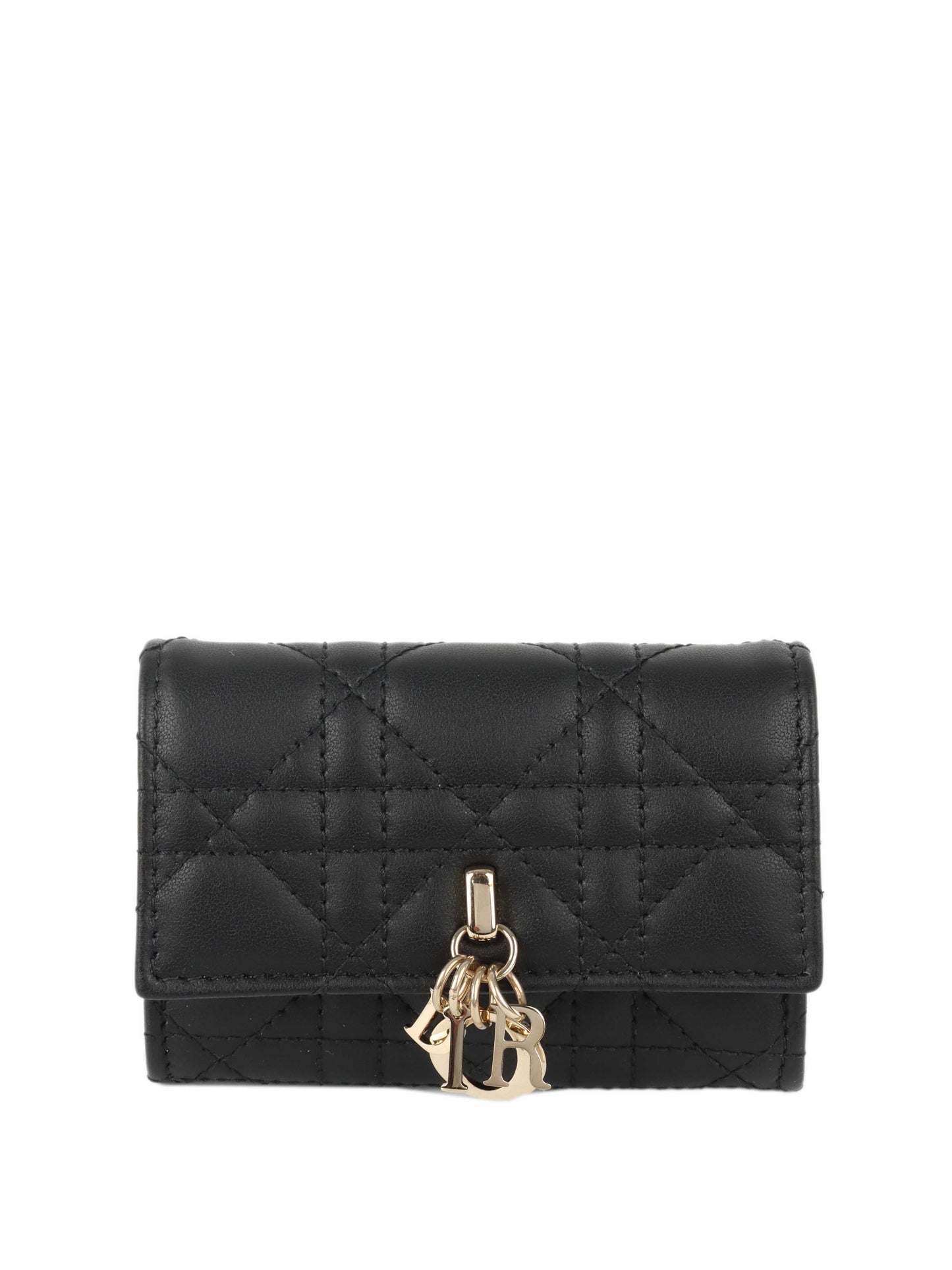 Dior Handbag My Veronia Wallet