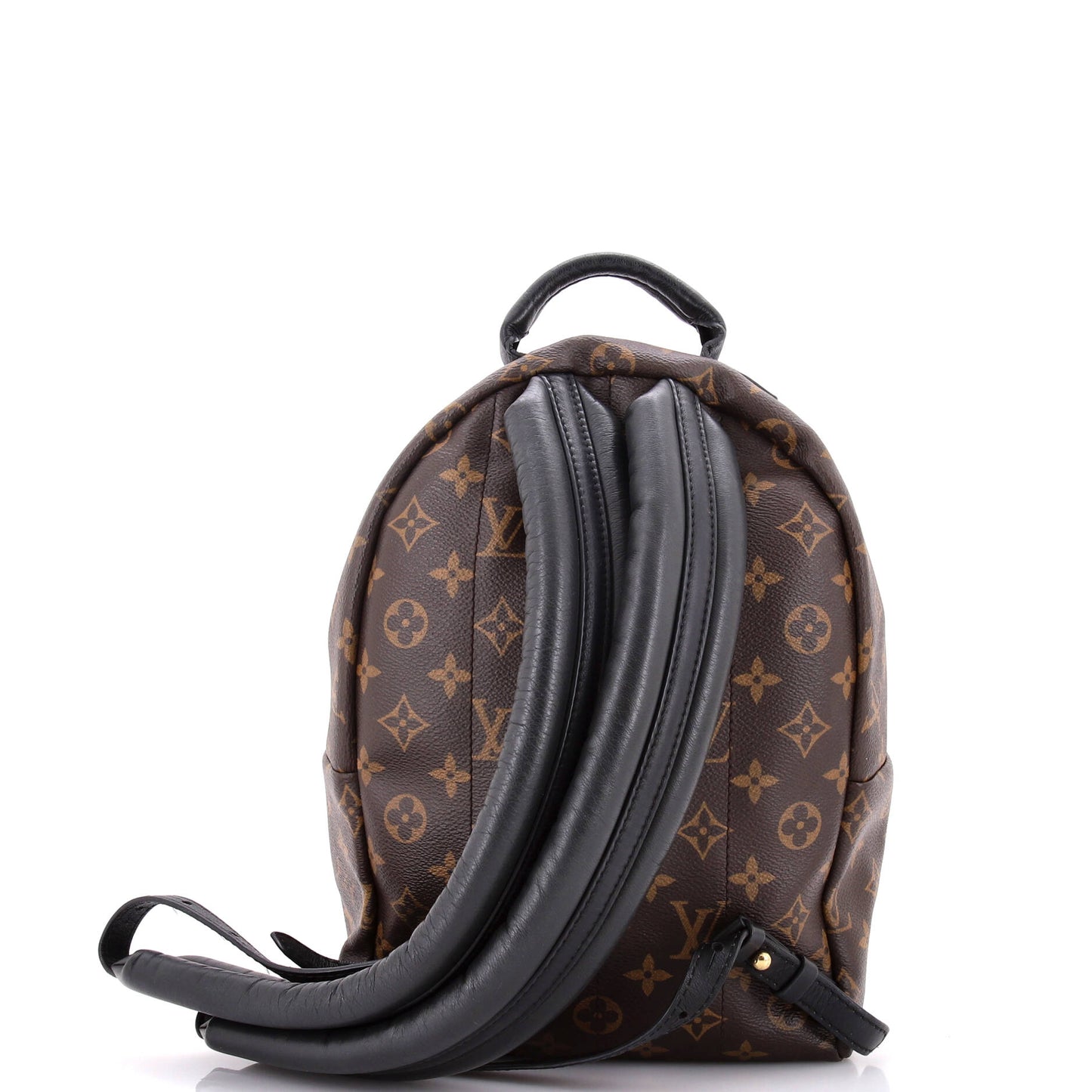 Louis Vuitton Palm Springs Backpack Pm Canvas Monogram Jewelry