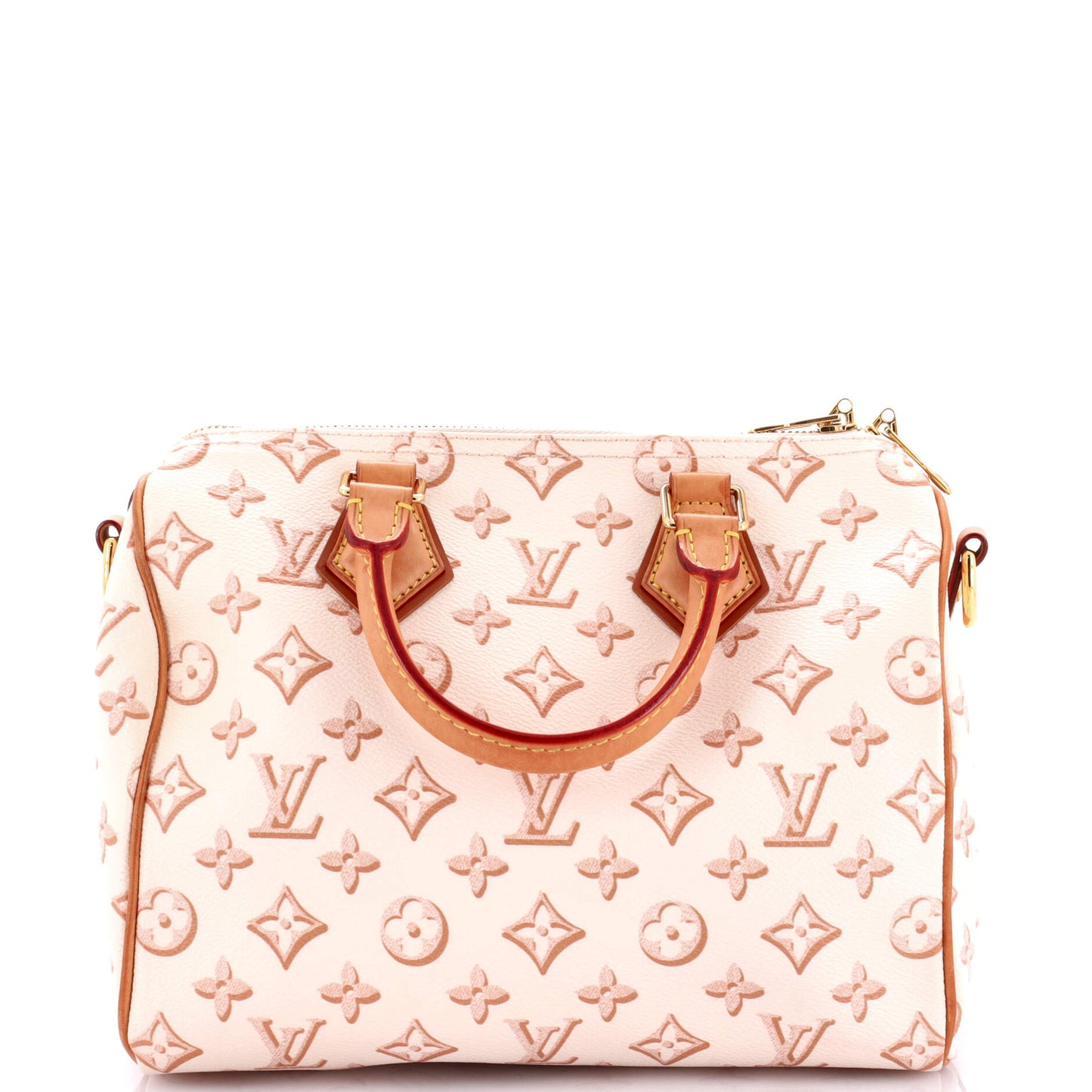 Louis Vuitton Speedy Bandouliere Bag Fall For You Canvas Monogram Travel Bag