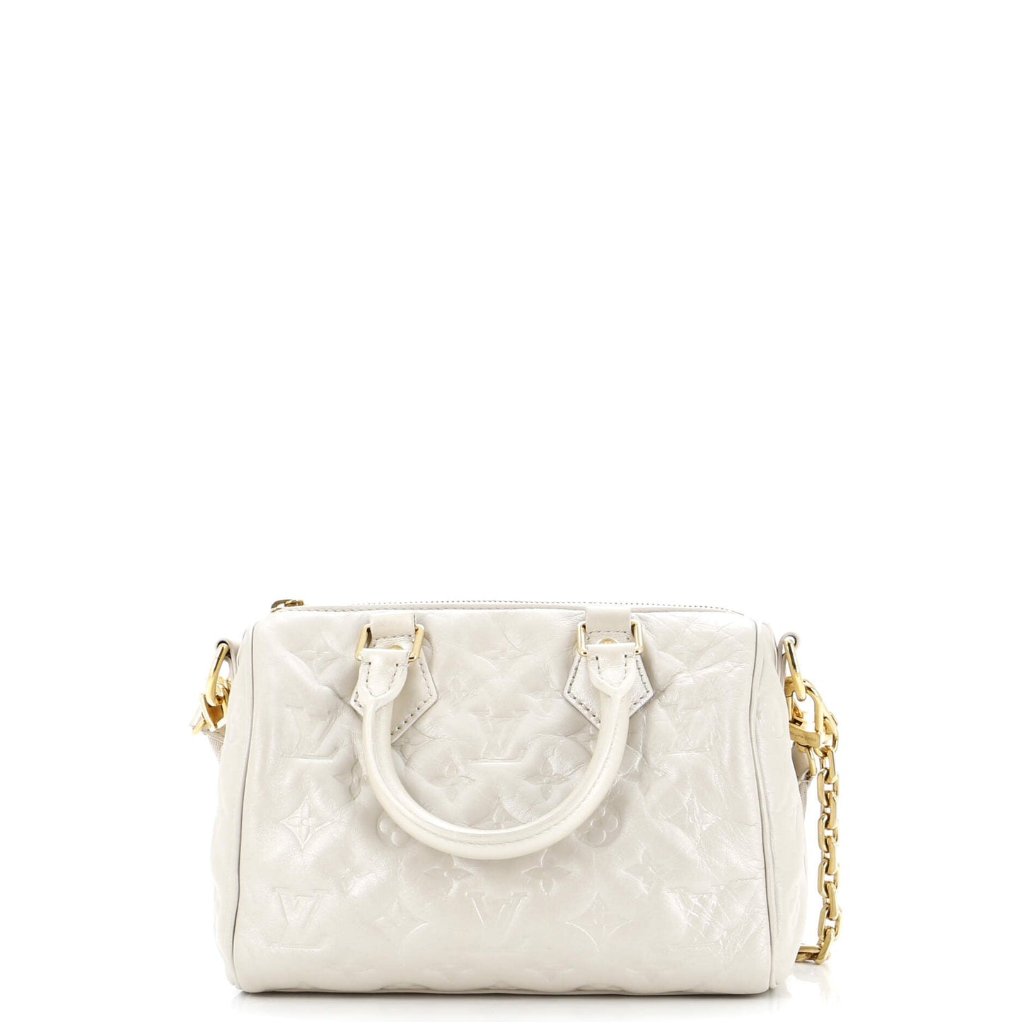 Louis Vuitton Speedy Bandouliere Bag Limited Edition Fall In Monogram Shoulder Bag Lambskin 223067313