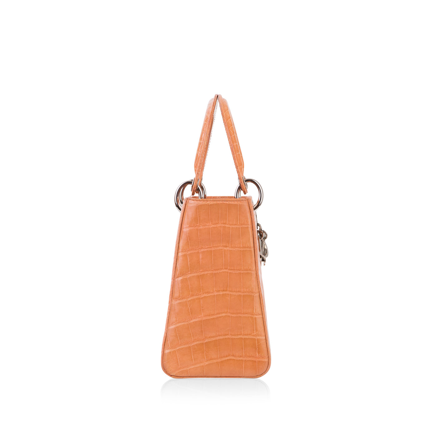 Dior Christian Lady Crocodile Tote Bag