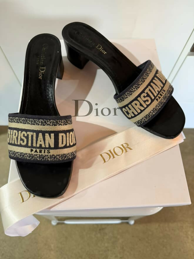 Dior Handbag Christian Heel Shoes