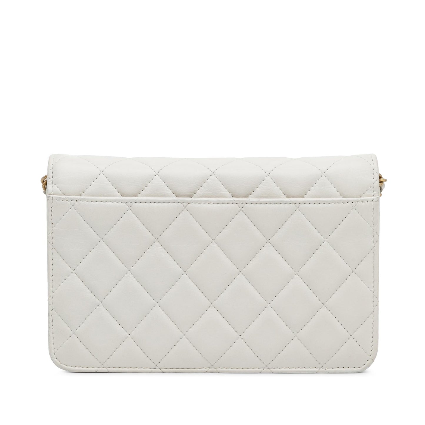 Chanel Enchained Flap on SHG-bl91Yx Wallet Case