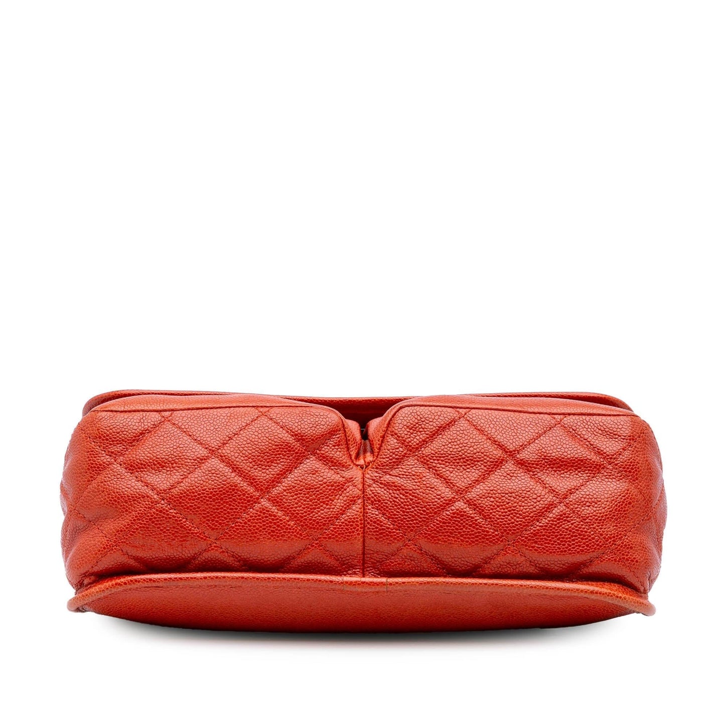 Chanel Grained Calfskin Natural Beauty Flap Handbag Flap 1