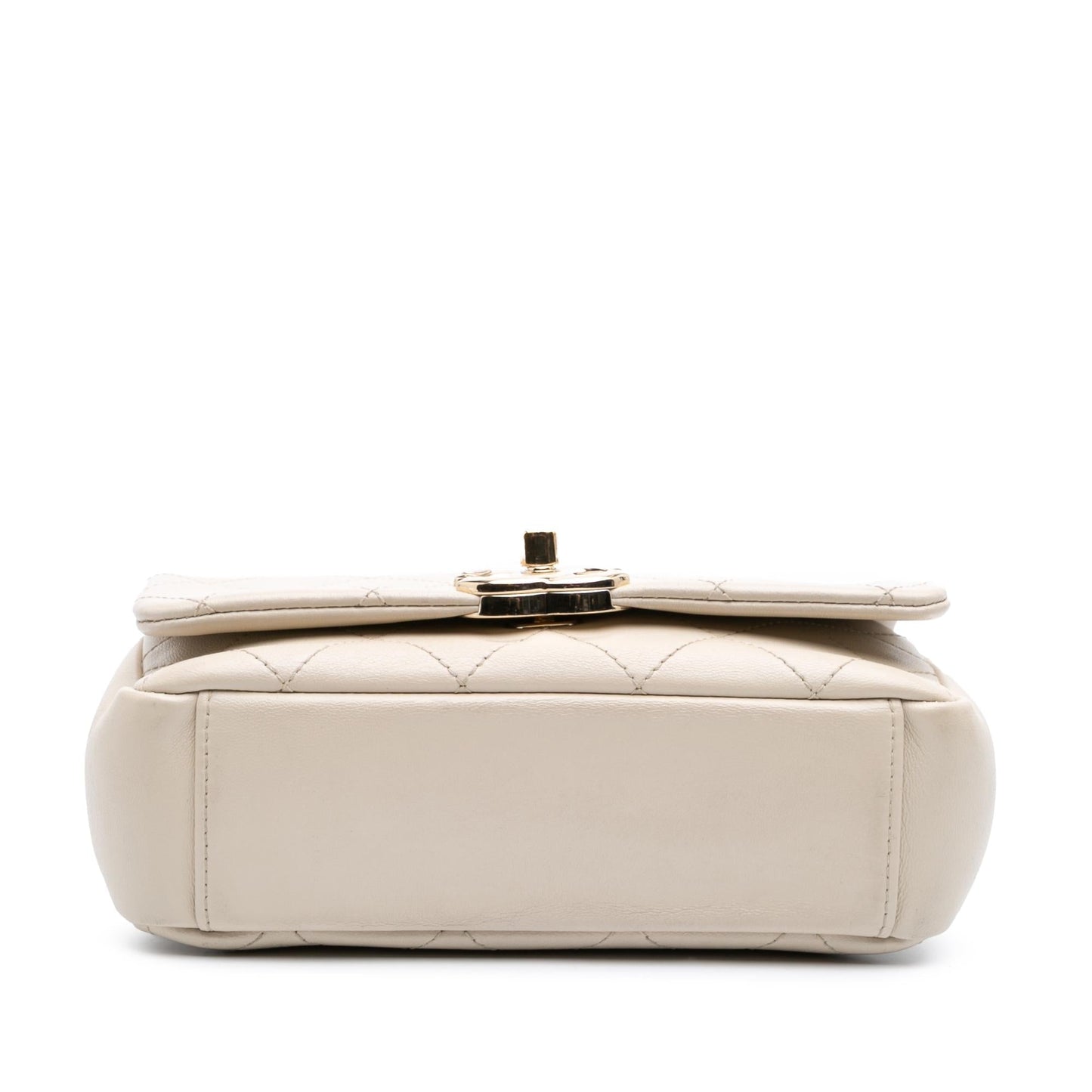 Chanel Lambskin Twist Enamel CC Flap Handbag 4