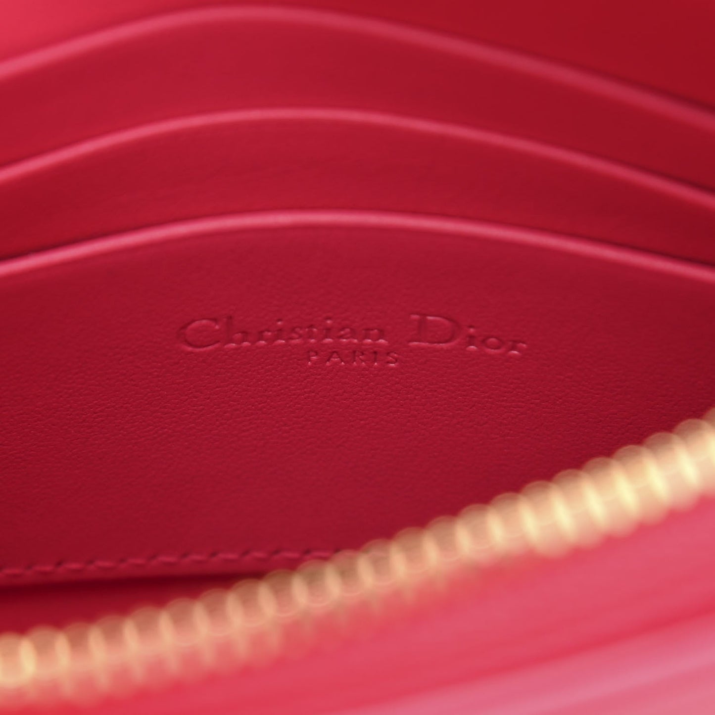 Dior Caro With Handbag Travel Bag