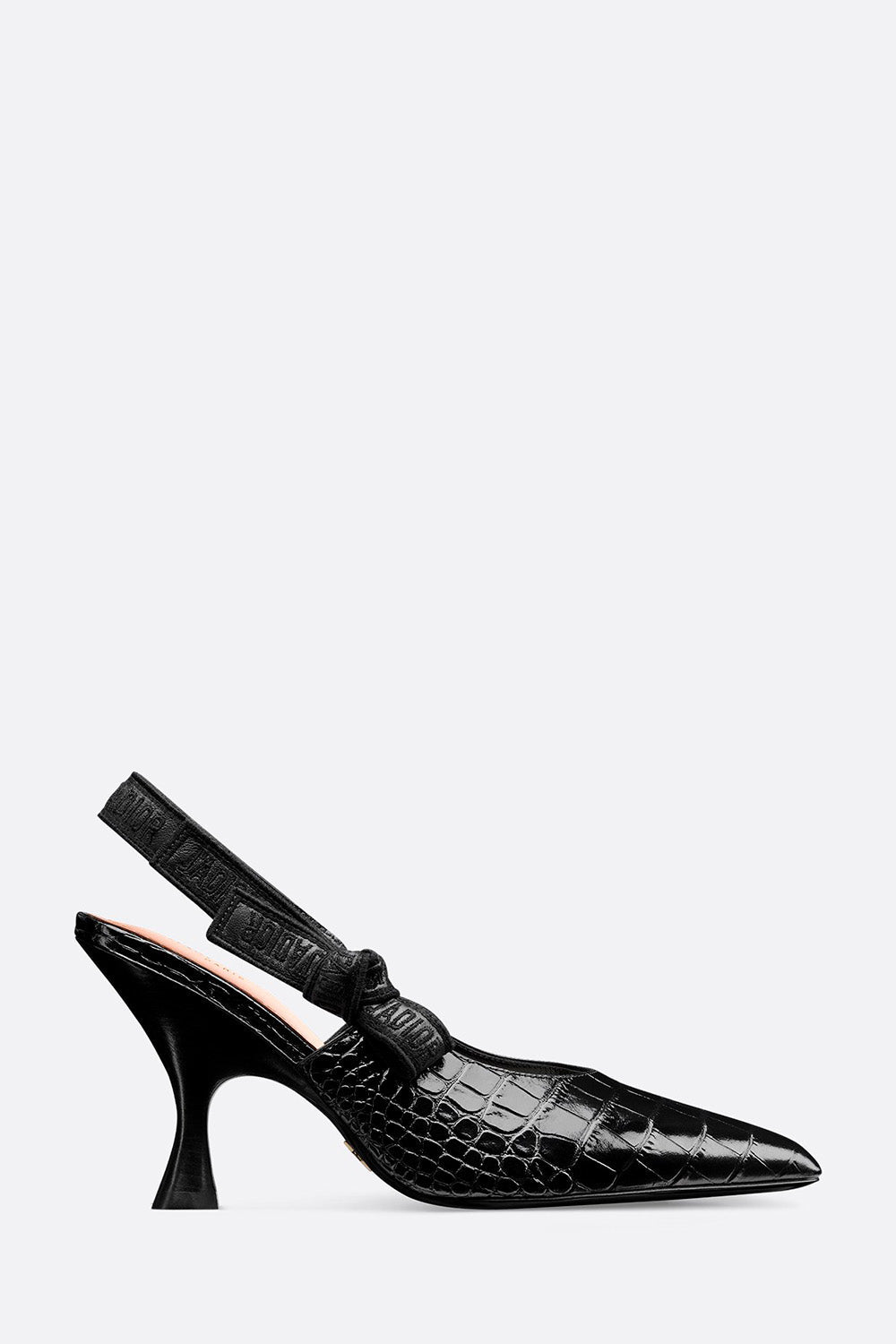 Dior Sling Bag J'A Slingback Pump 2 Shoes