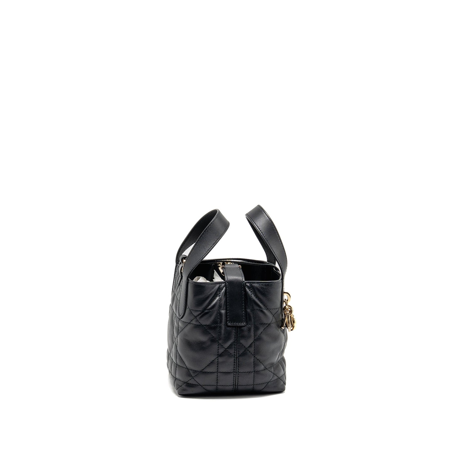 Dior Toujours Vertical Nano Tote Purse Calfskin Handbag Black Tote Bag
