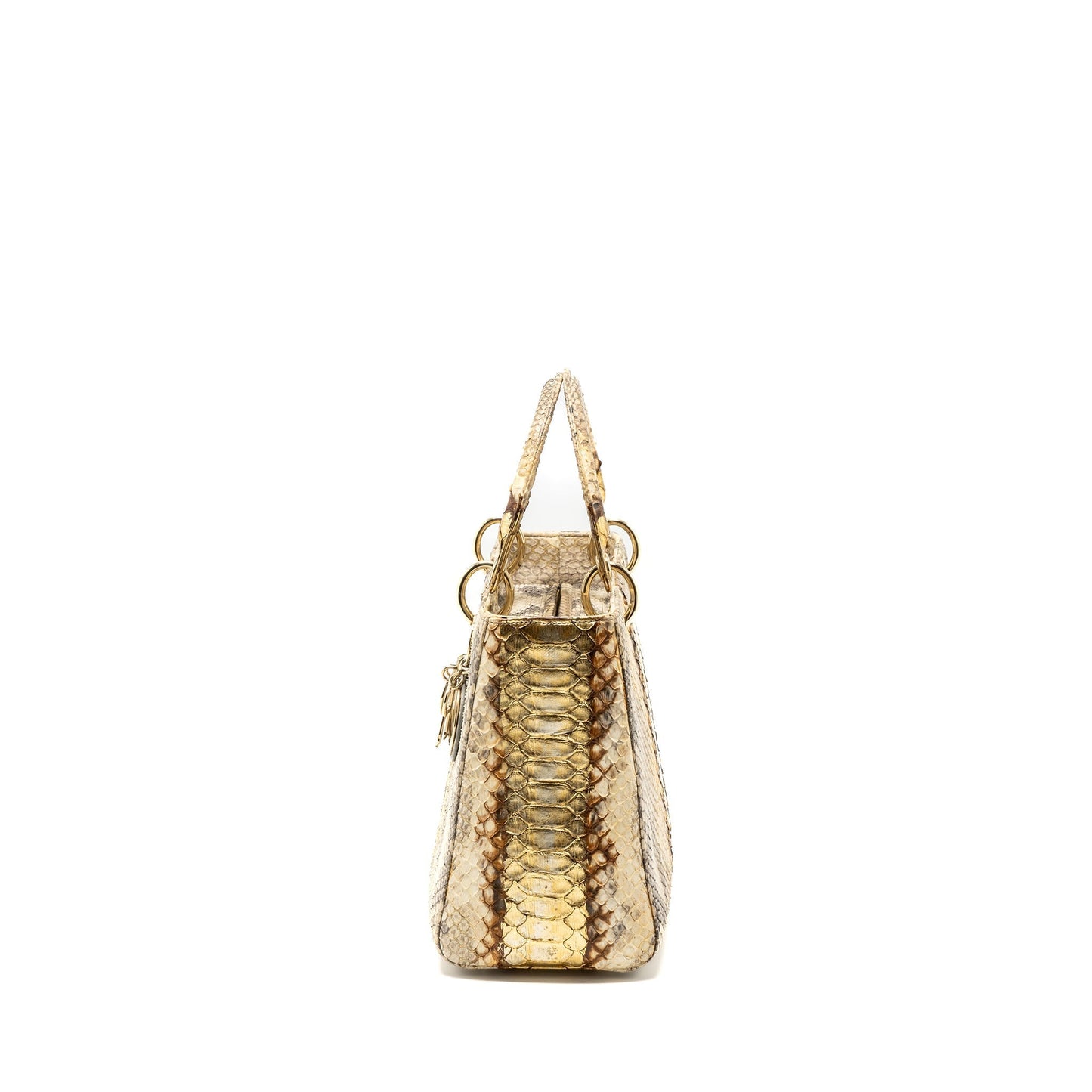 Dior Lady Python Multicolour Handbag Medium Travel Bag