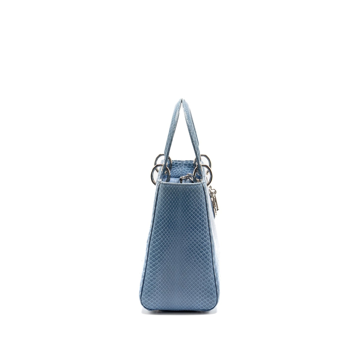 Dior Lady Python Handbag Blue Medium Travel Bag