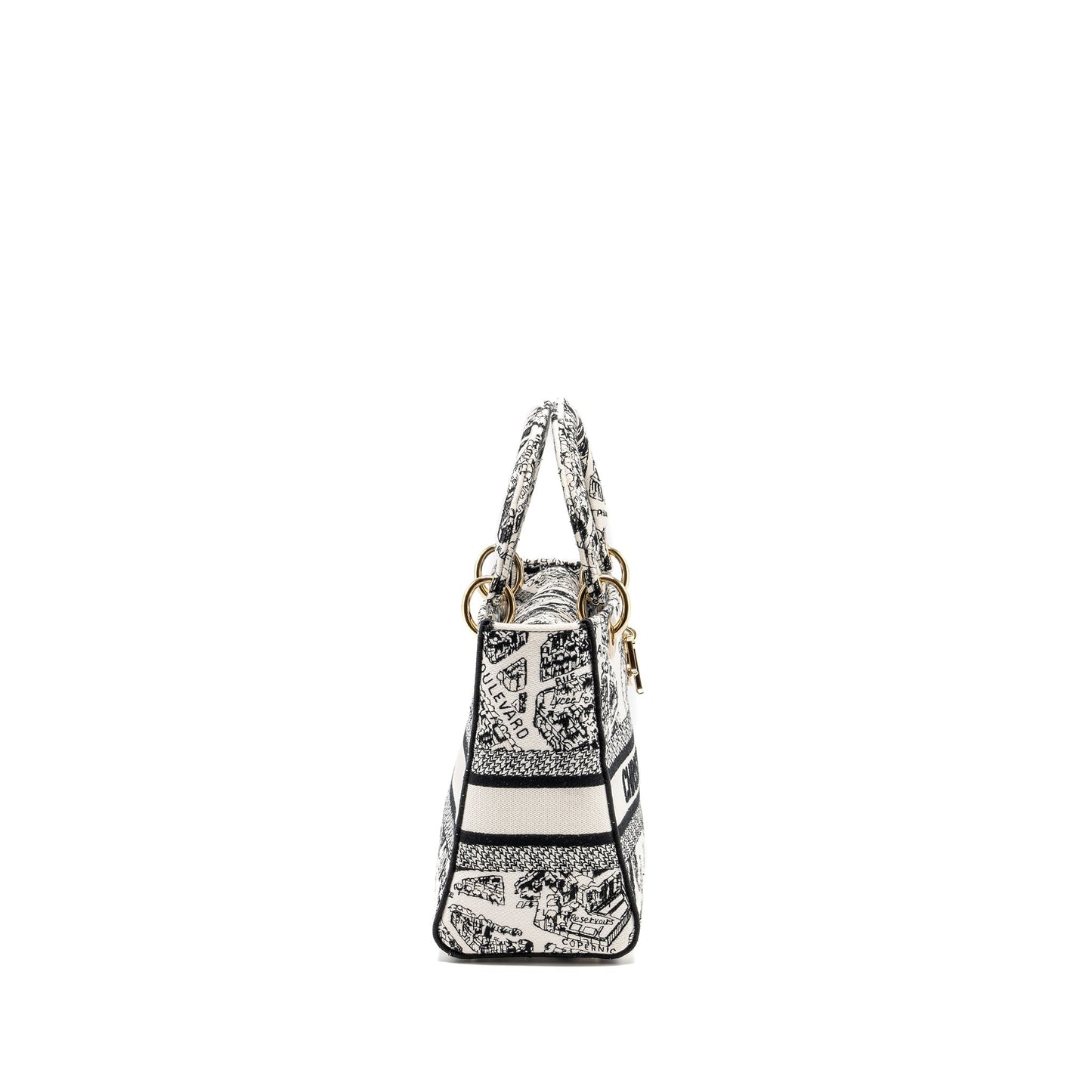 Dior Medium Lady D Lite Purse Plan De Canvas Black Travel Bag