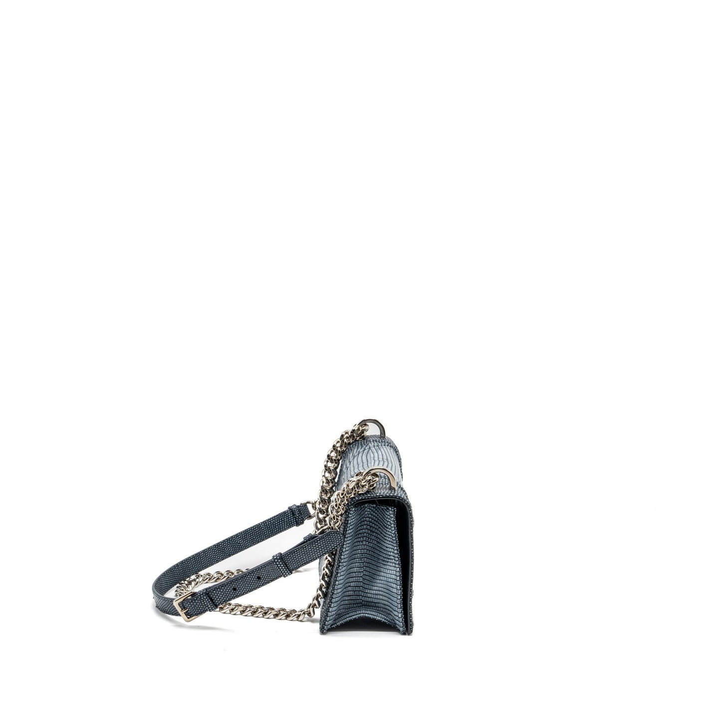 Dior ama Lizard Multicolour Handbag Silver Small Travel Bag