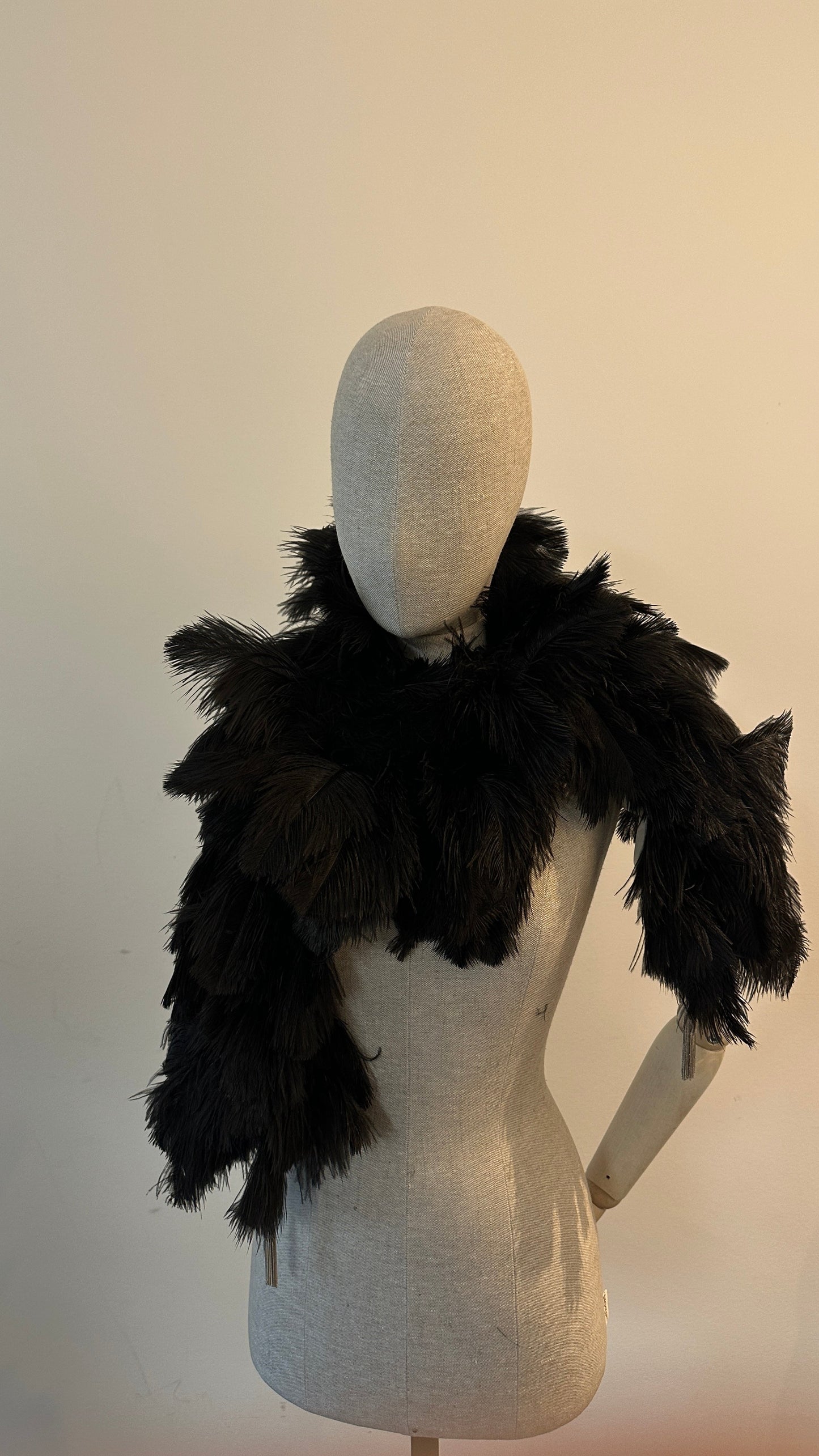 Dior Ostrich Feather Scarf Black