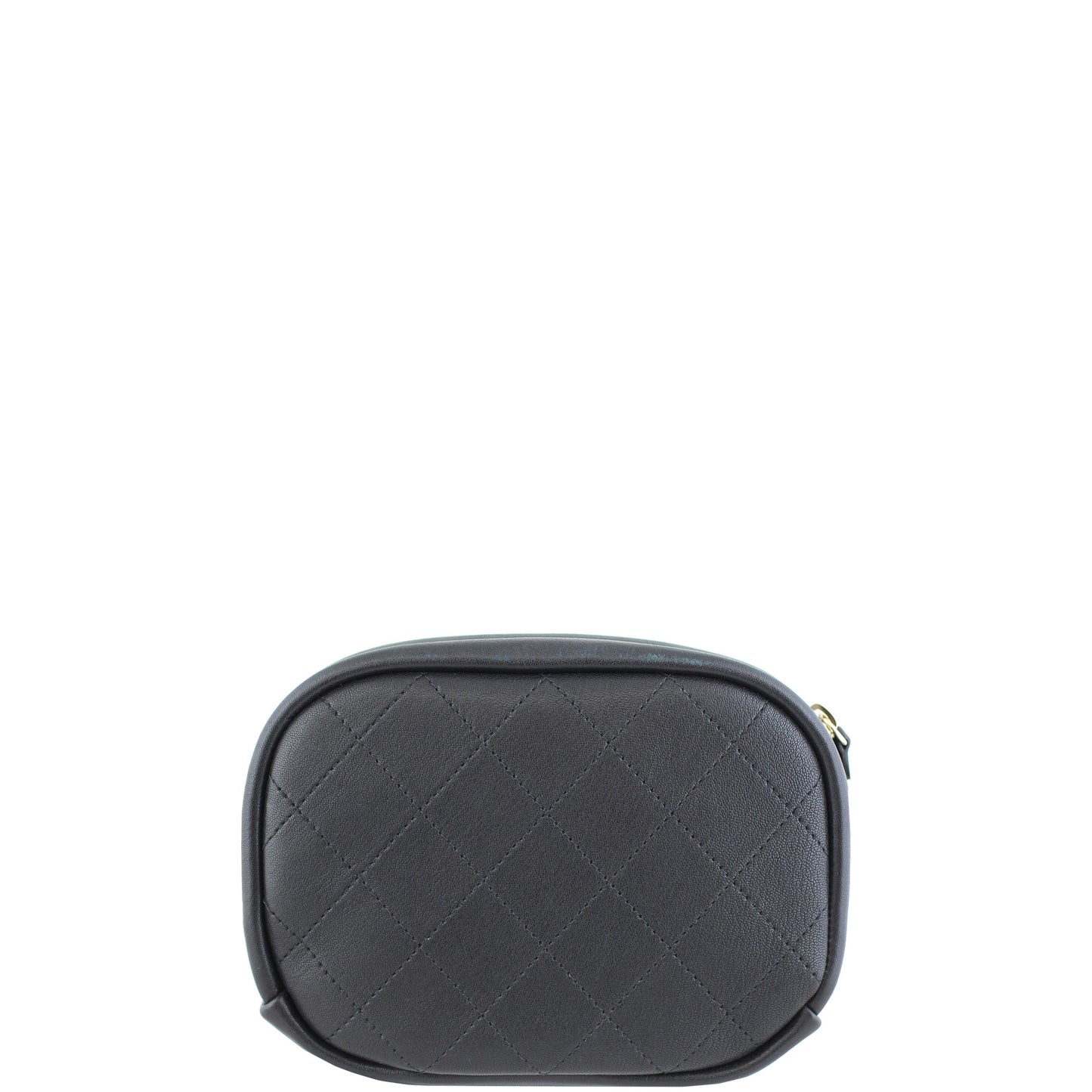 Chanel Classic Camera Case Handbag