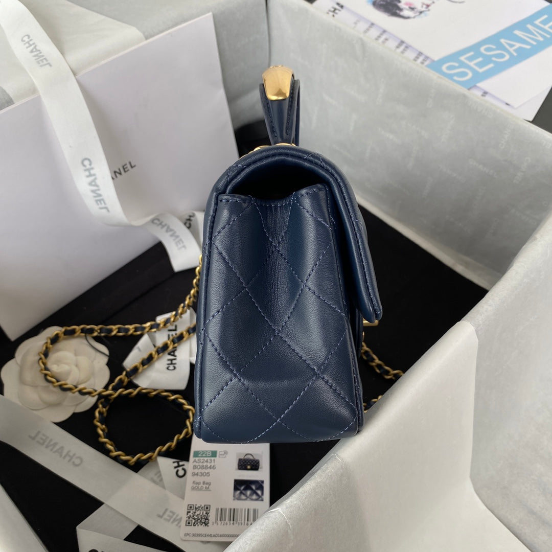Chanel Luxury Bag - CHL - 698