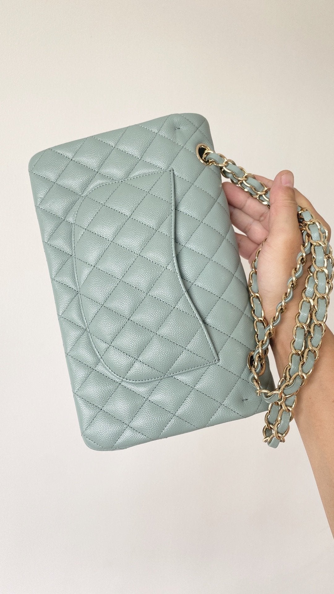 Chlsmall Classic Handbag Light For Women Bags Green Travel Bag