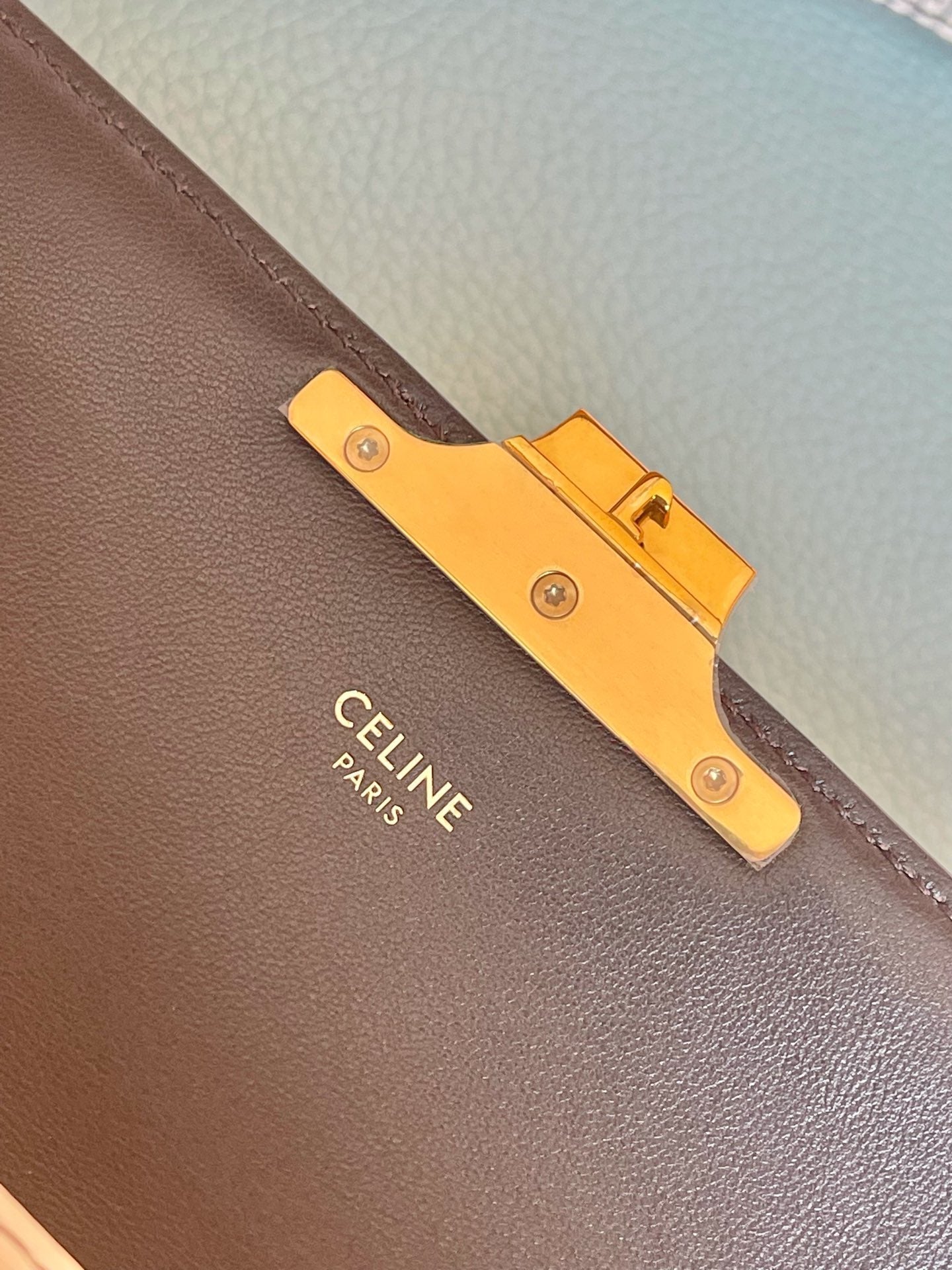 Top Quality Triomphe Shoulder Bag In Lizard 194144Bf502Vg 4994