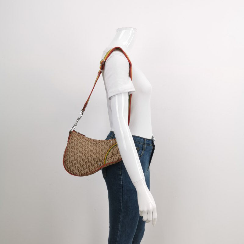 Dior Rasta Trotter Saddle Crossbody Bag Multicolor Strap Canvas