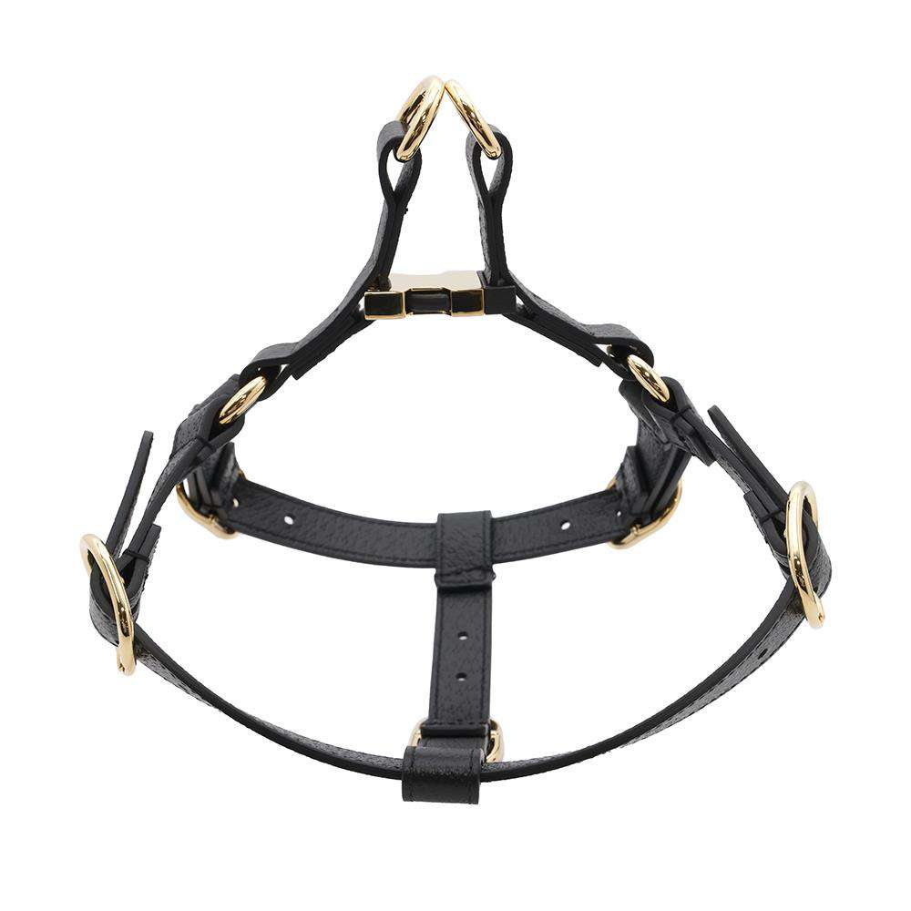 Gucci Pet Harnesses Black692963 Size S Leather Handbag
