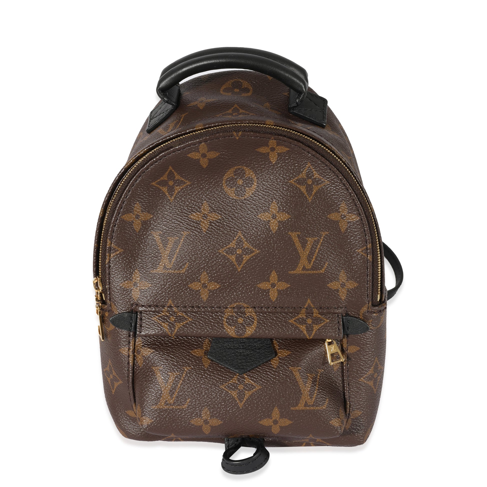 Louis Vuitton Palm Springs Backpack Monogram Canvas Mini Jewelry 3