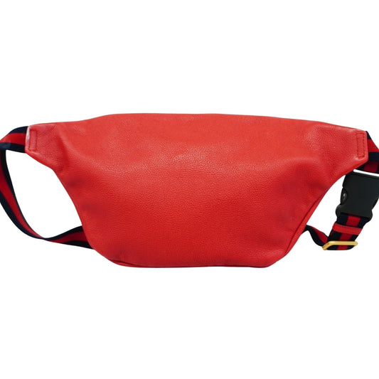 Gucci Belt Bag Accessory Bag 16