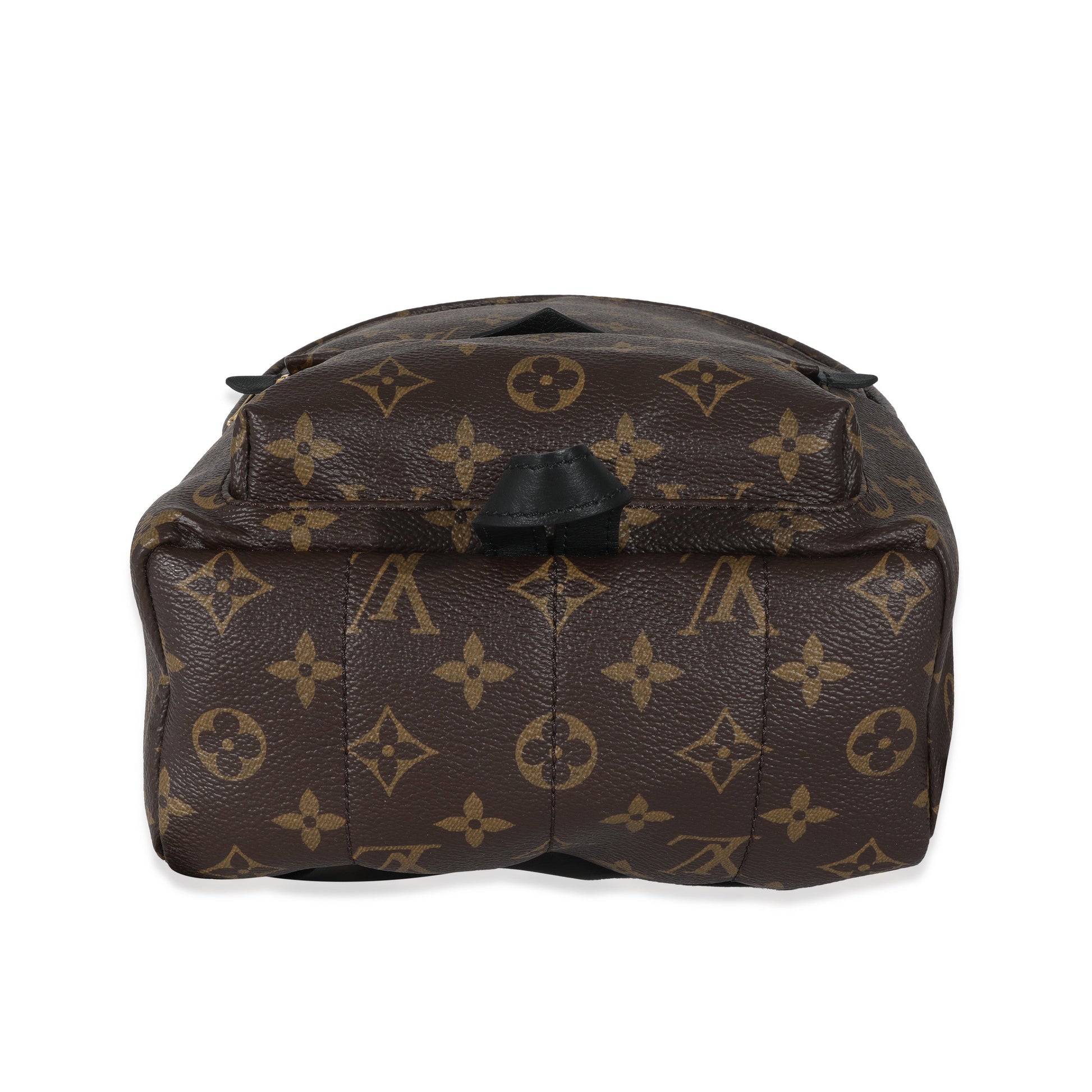 Louis Vuitton Palm Springs PM Monogram Canvas Jewelry 3
