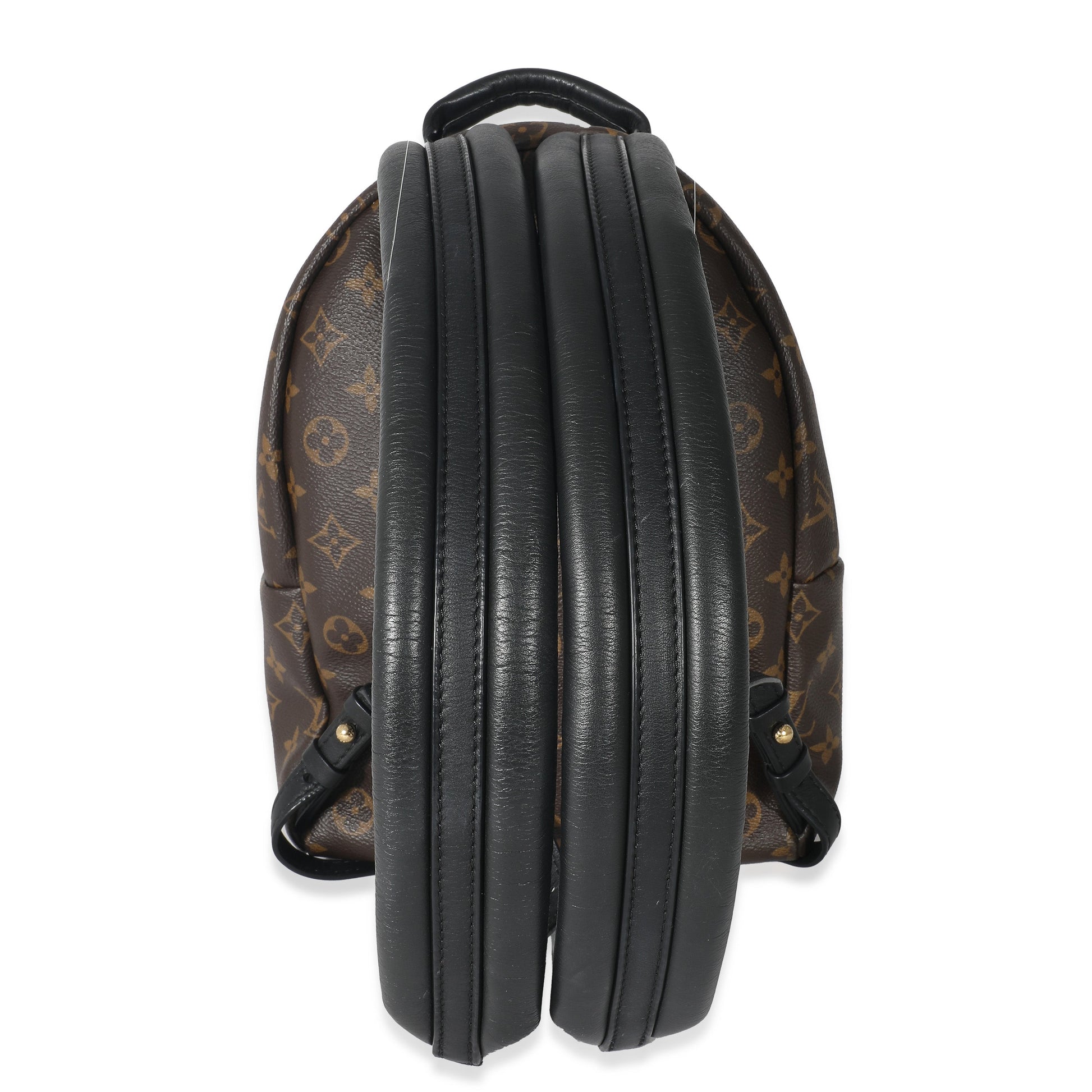 Louis Vuitton Palm Springs PM Monogram Canvas Jewelry 4