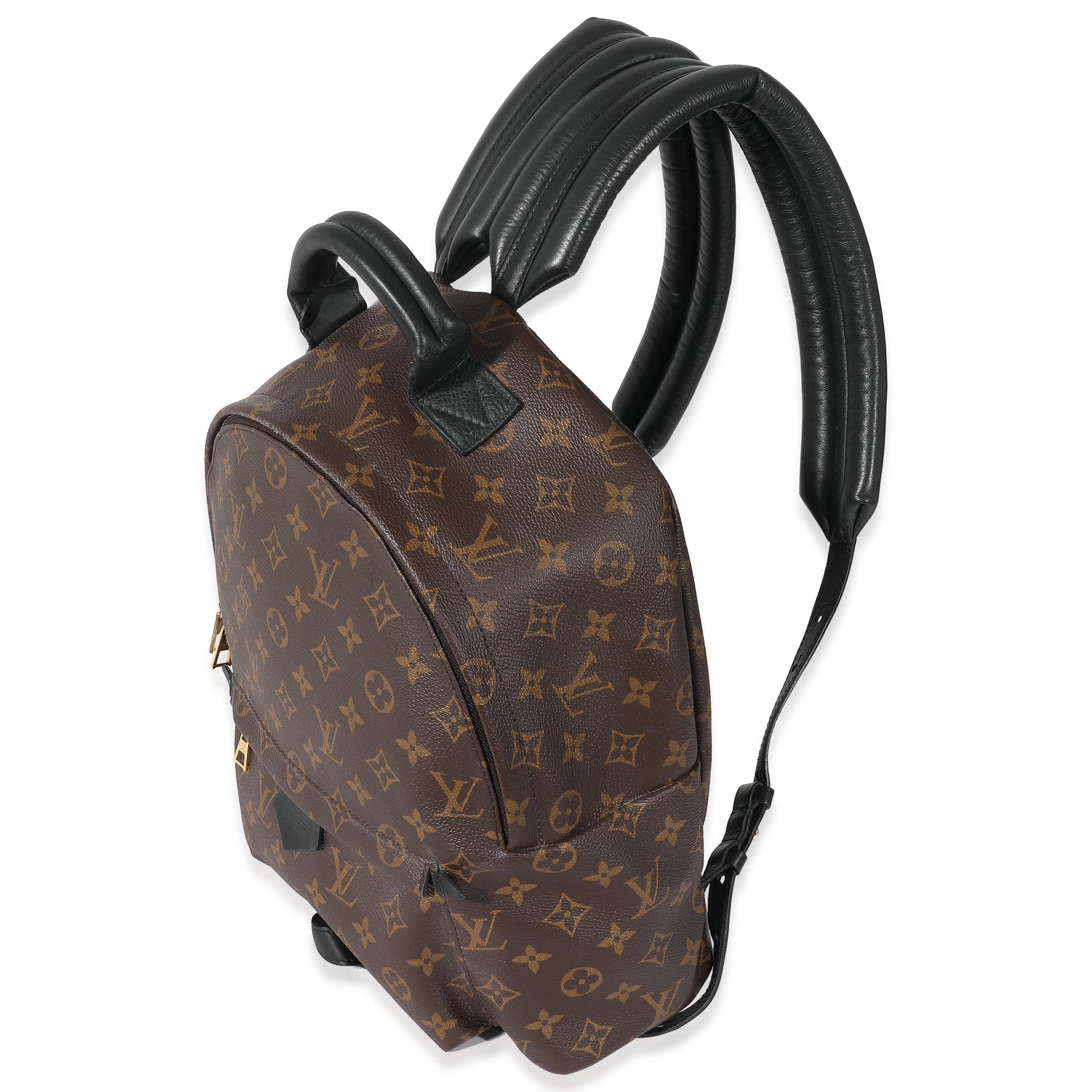 Louis Vuitton Palm Springs MM Monogram Canvas Jewelry 6
