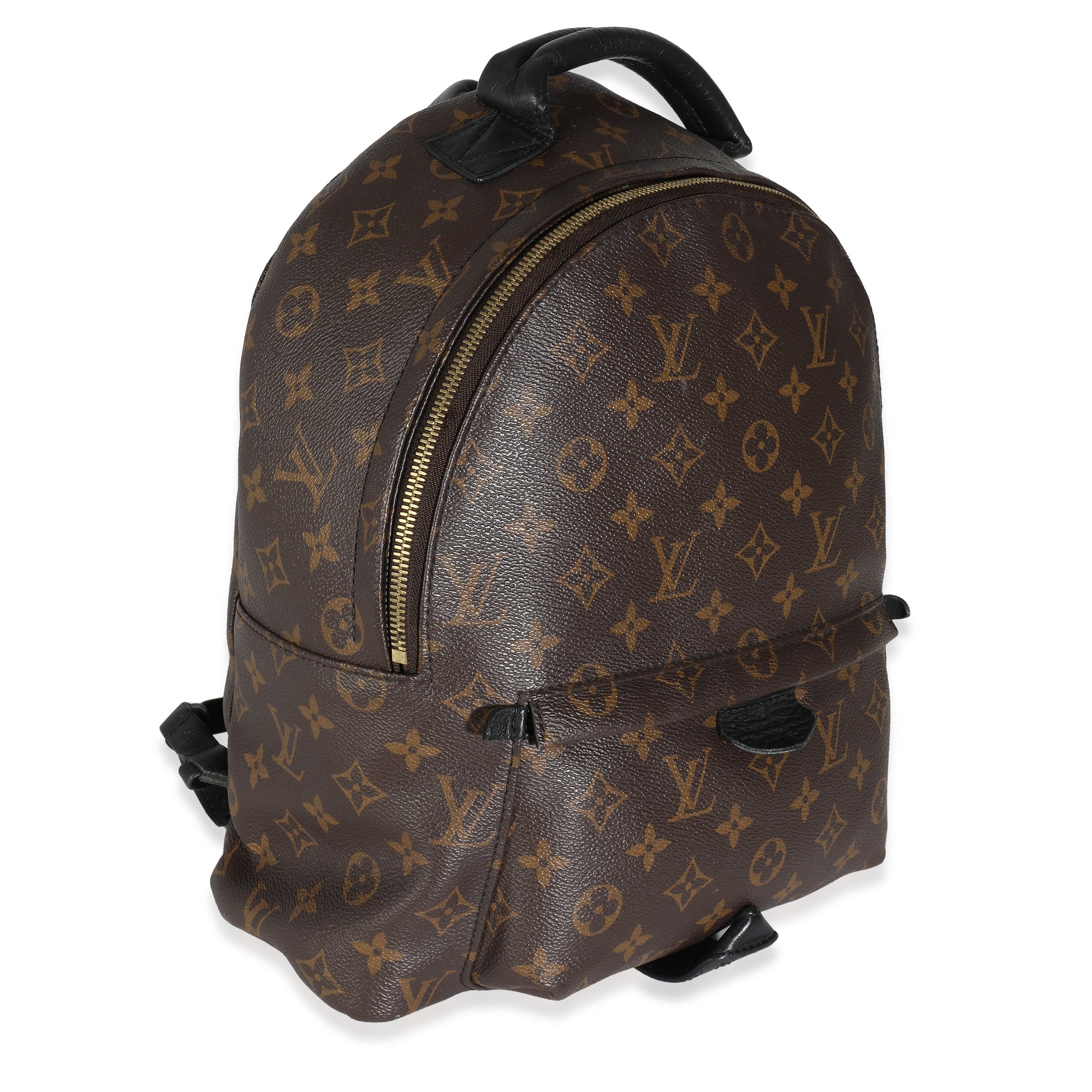 Louis Vuitton Palm Springs PM Monogram Canvas Jewelry