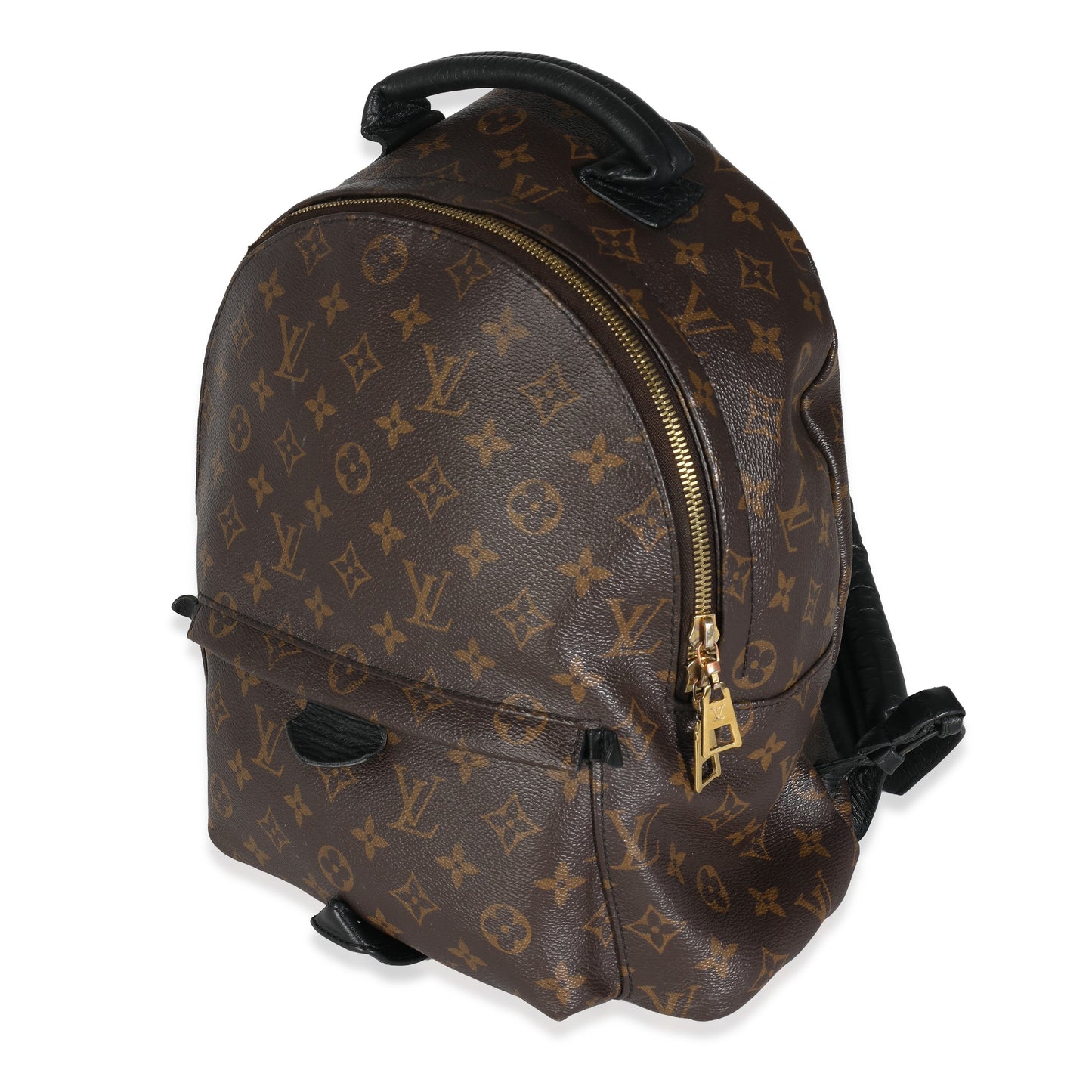 Louis Vuitton Palm Springs PM Monogram Canvas Jewelry