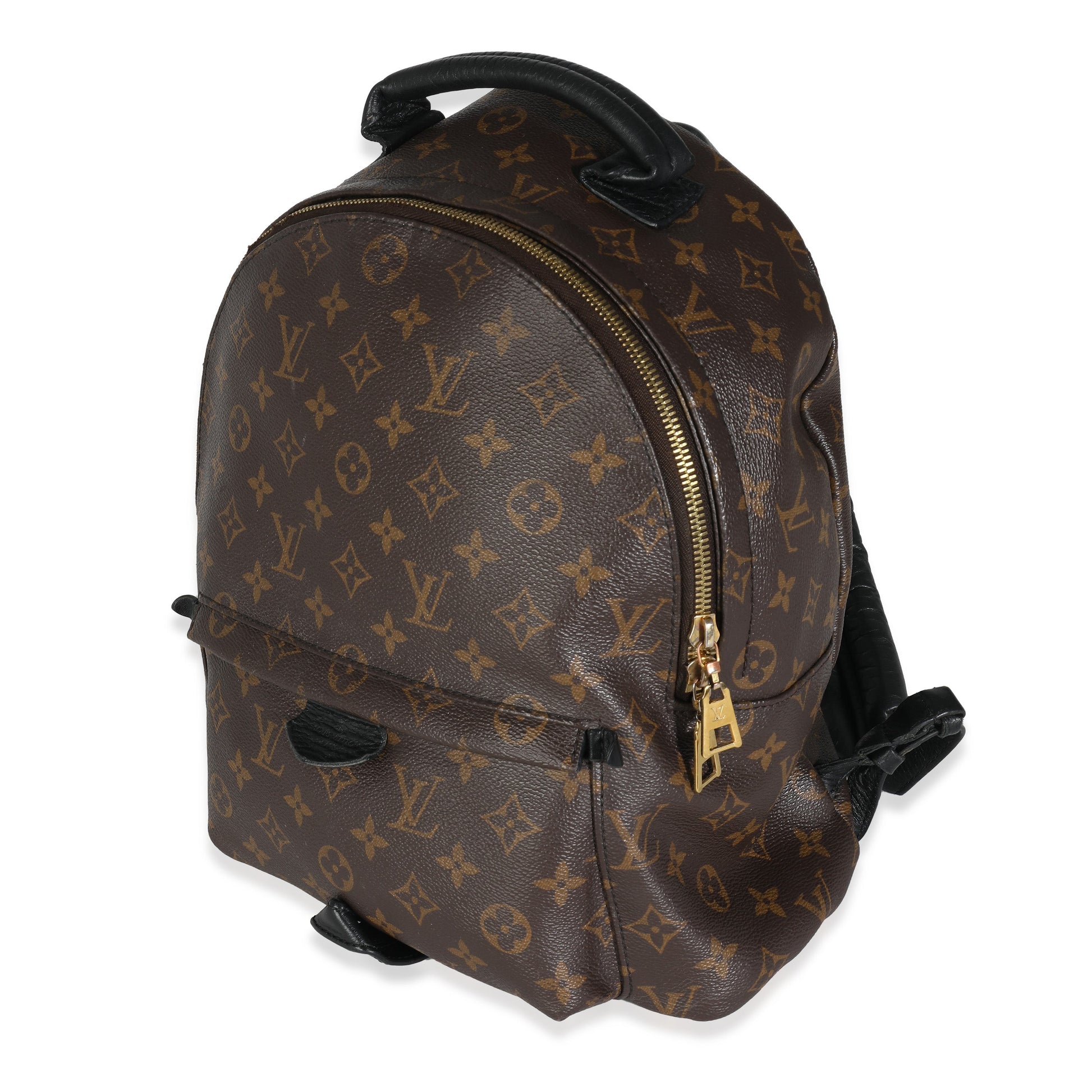 Louis Vuitton Palm Springs PM Monogram Canvas Jewelry
