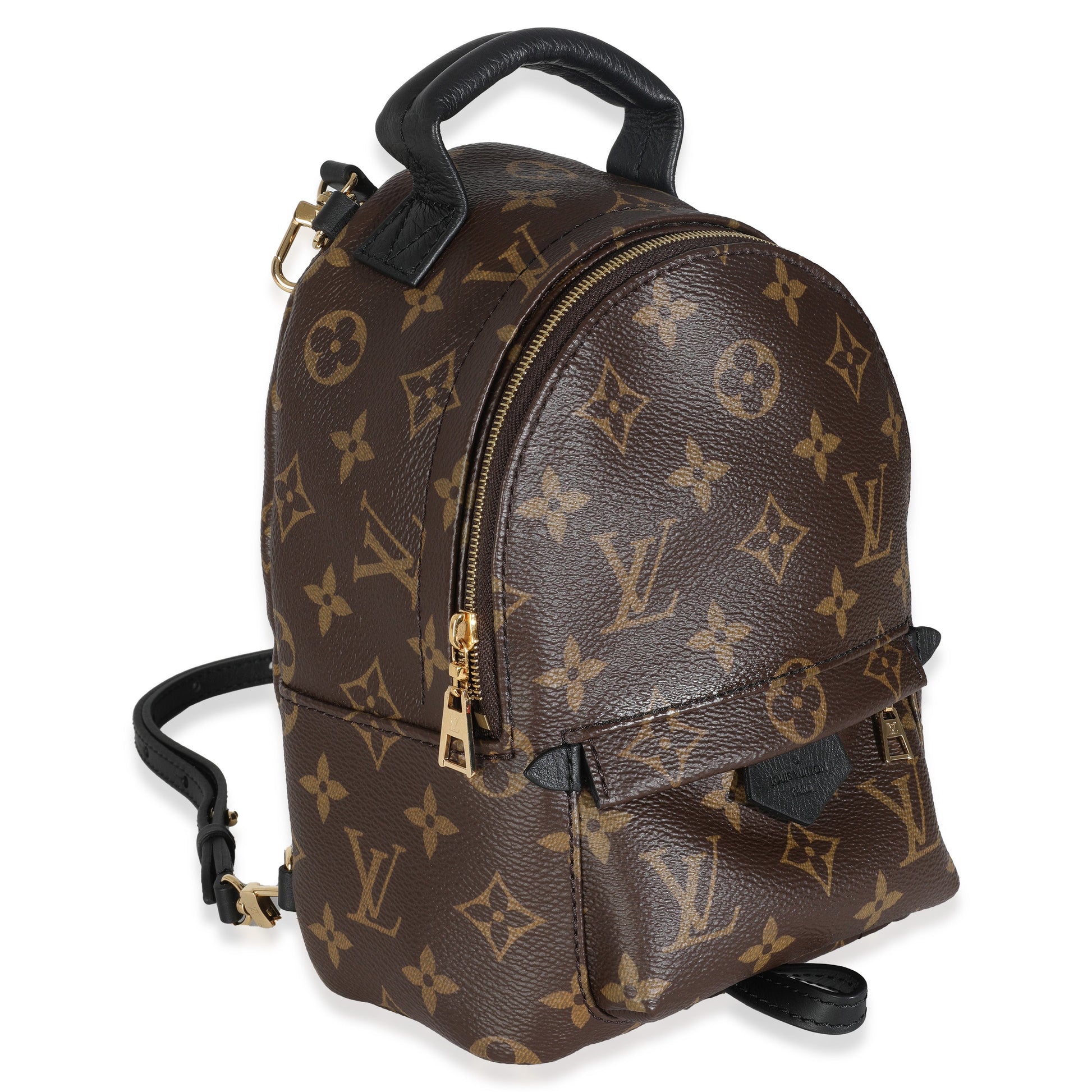 Louis Vuitton Palm Springs Monogram Canvas Mini Jewelry 3