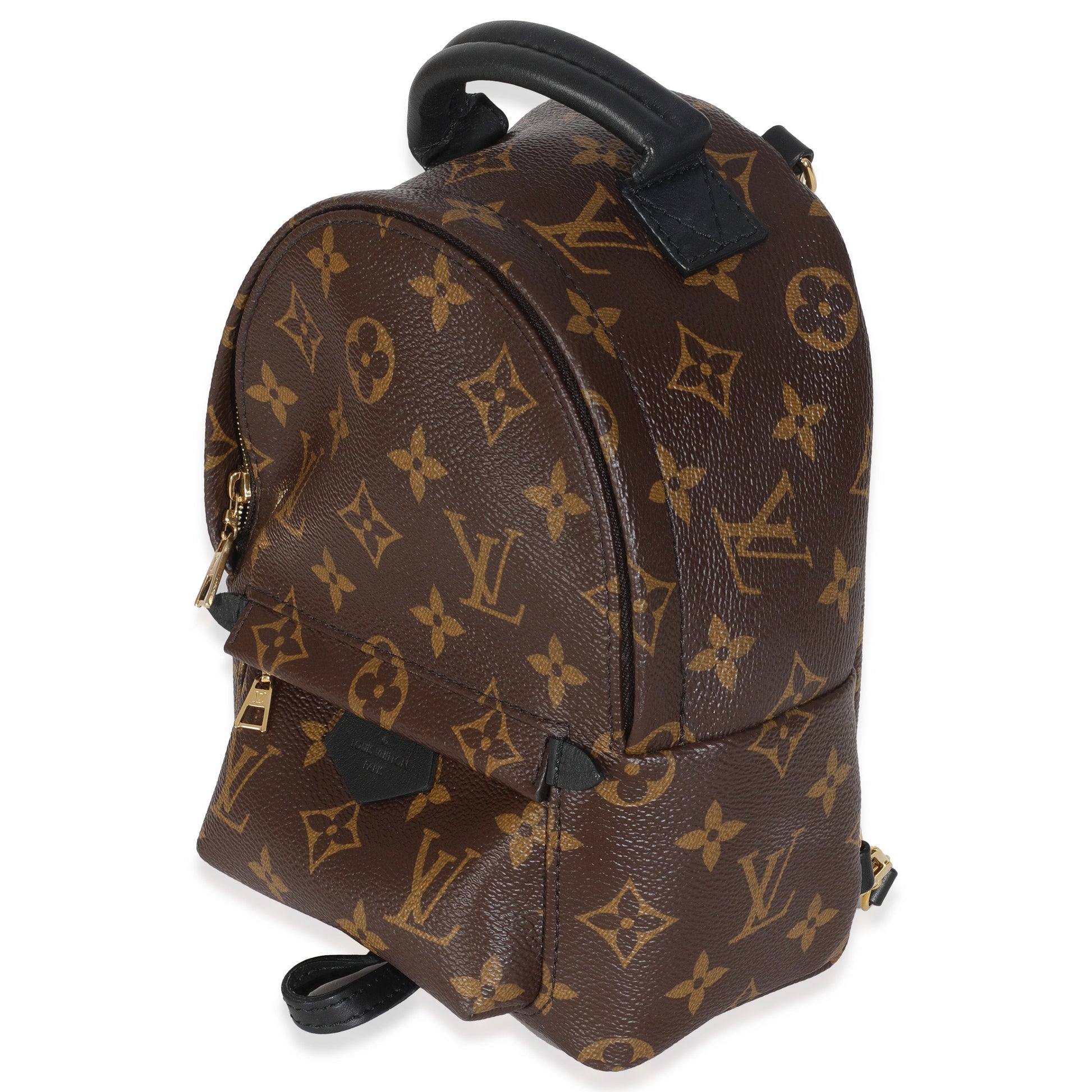 Louis Vuitton Palm Springs Backpack Monogram Canvas Mini Jewelry
