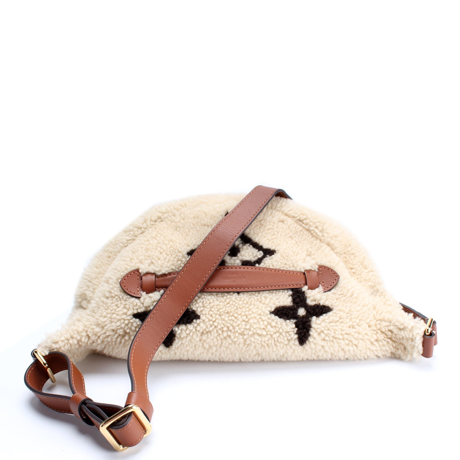 Louis Vuitton Bumbag Teddy Giant Monogram Handbag Monogram 4
