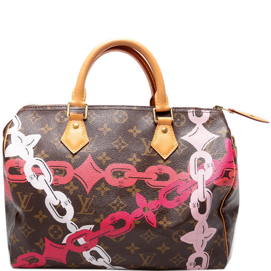 Louis Vuitton Speedy 30 Bay Monogram Handbag