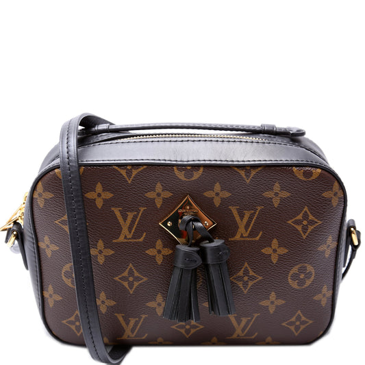 Louis Vuitton Saintogne Monogram Handbag Monogram 5
