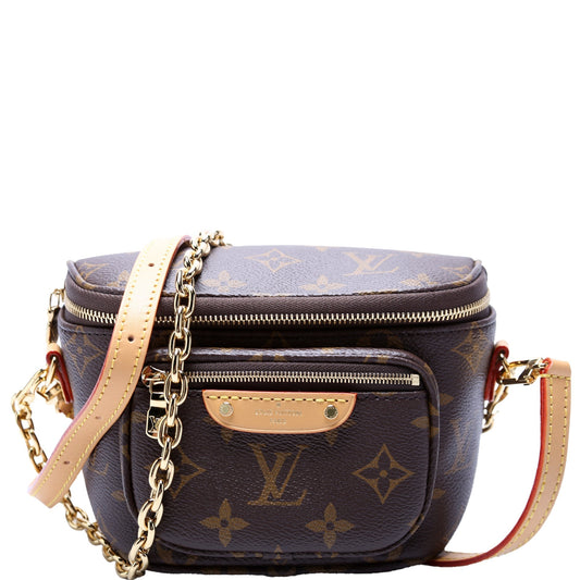 Louis Vuitton Bumbag Monogram Mini Bag Monogram 1