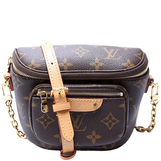 Louis Vuitton Bumbag Monogram Mini Bag Monogram 2