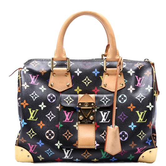 Louis Vuitton Speedy 30 Multicolor Handbag Multicolor 6