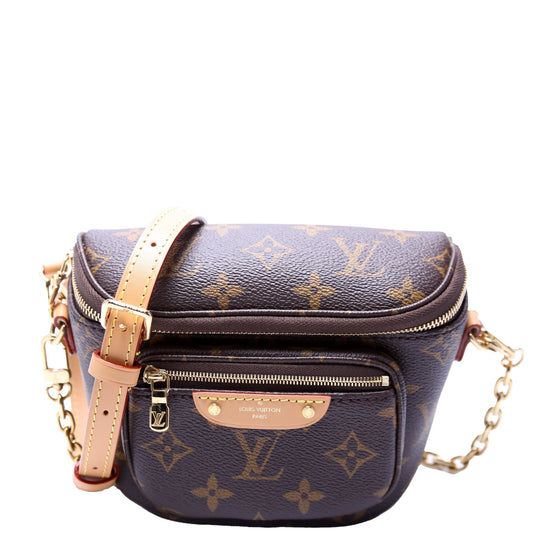 Louis Vuitton Bumbag Monogram Mini Bag Monogram 3