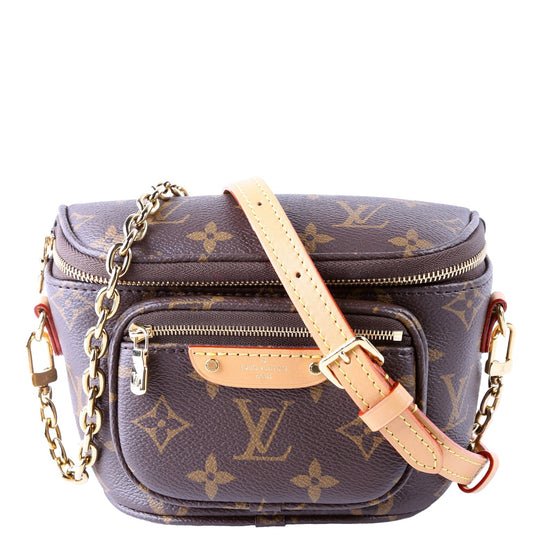 Louis Vuitton Bumbag Monogram Mini Bag Monogram 5