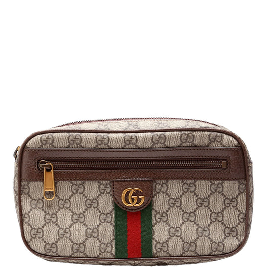 Gucci Ophidia GG Brown Belt