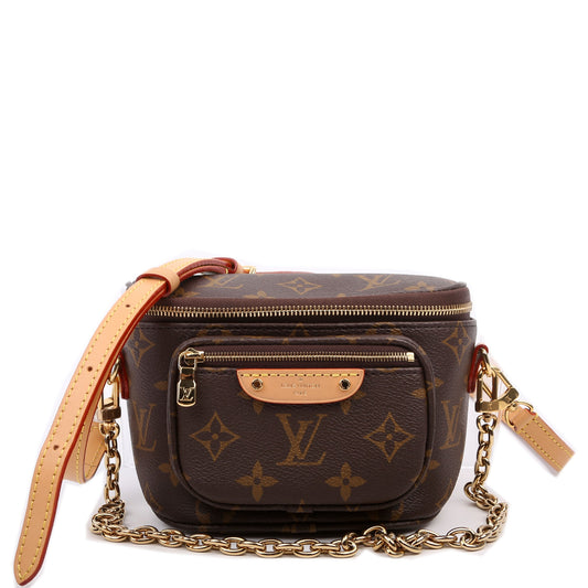 Louis Vuitton Bumbag Monogram Mini Bag Monogram 8