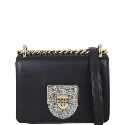 Dior ama Club Bag Travel Bag
