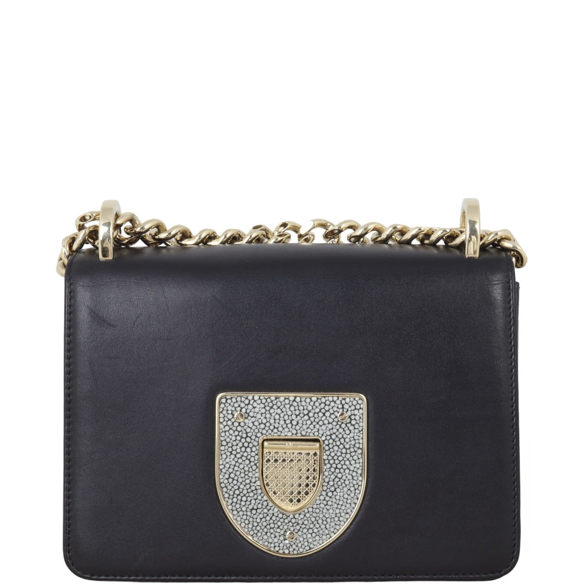 Dior ama Club Bag Travel Bag