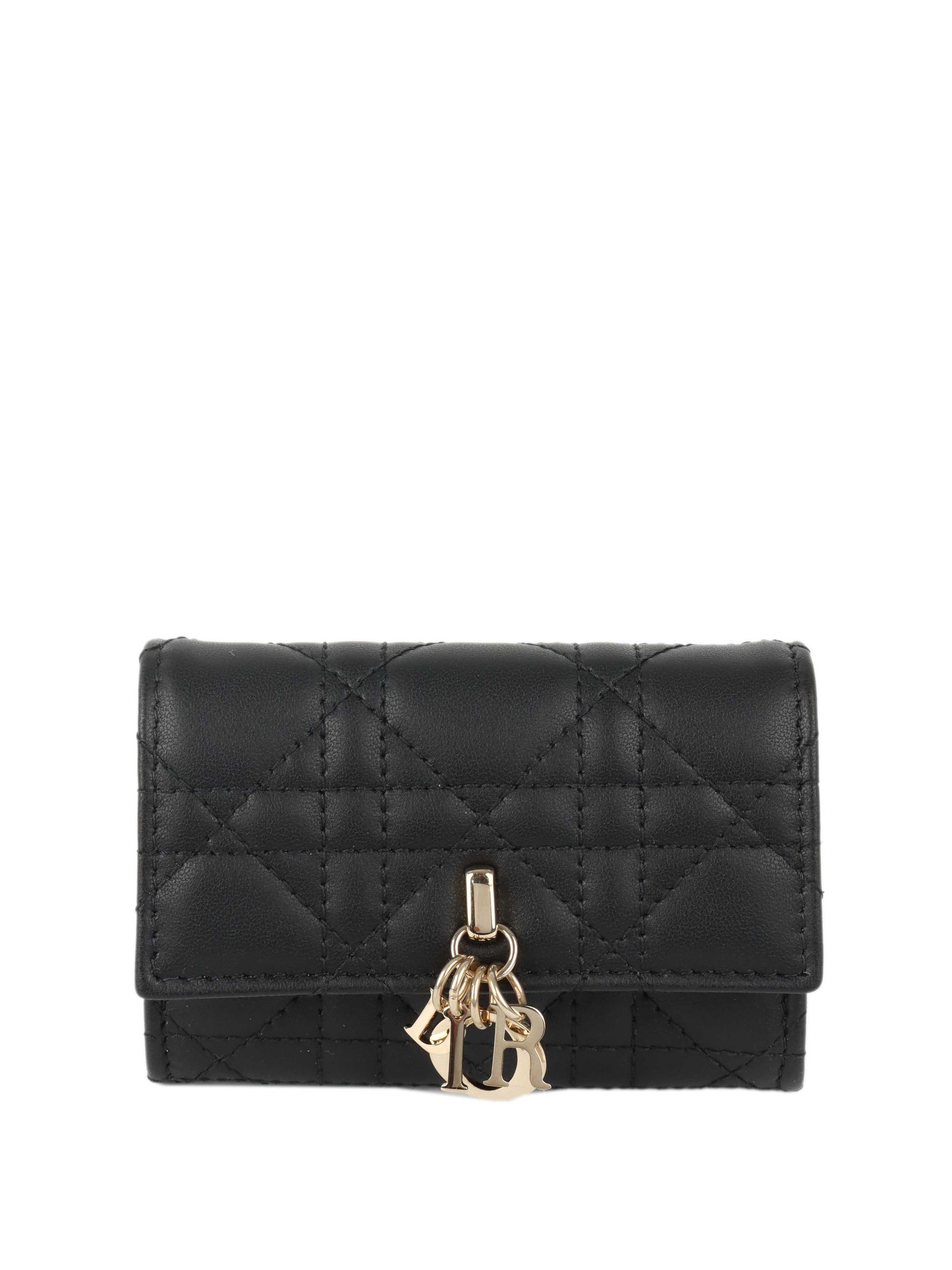 Dior Handbag My Veronia Wallet