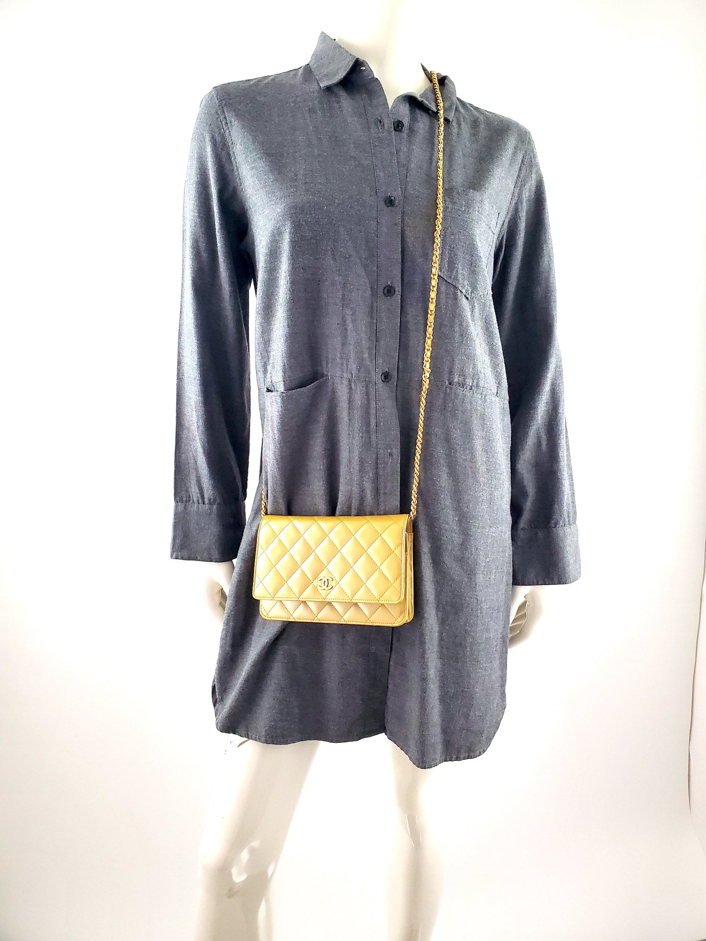 Chanel Wallet on the Chain Bag